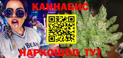 МДПВ Тара