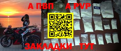 PSILOCYBIN Тверь