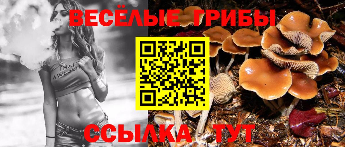 Галлюциногенные грибы мицелий  закладка  Новотроицк  Вход с VPN 